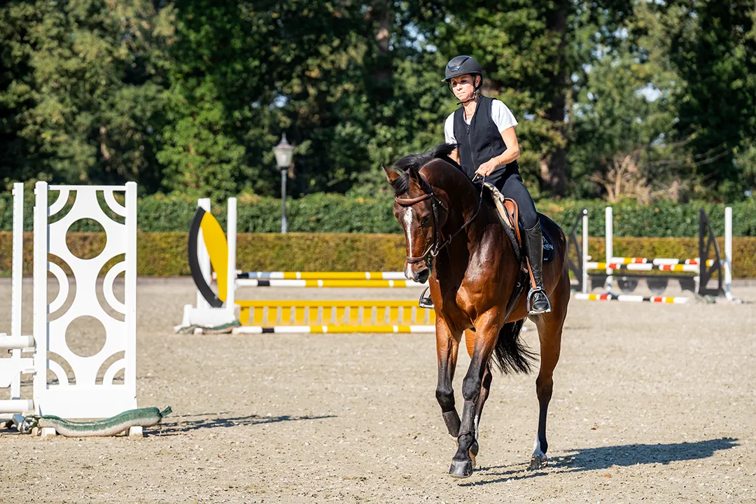 Reiterin auf Pferd mit solea Hufbeschlag