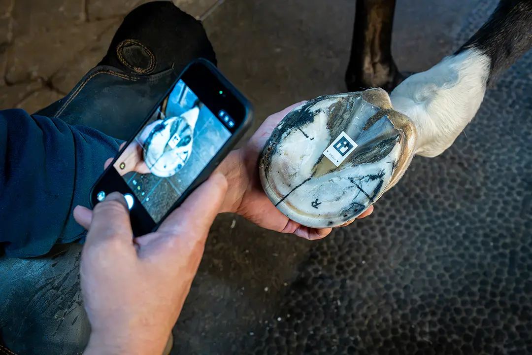 Pferdehuf wird für die solea Software fotografiert